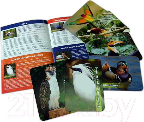 Изображение товара Настольная игра АльфаТойс Мемо Диковинные птицы / 11413