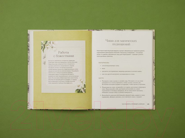 Изображение товара Книга Эксмо Ведьмовство для исцеления (Вигингтон П.)