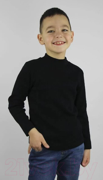 Изображение товара Джемпер детский Polesie 1С1073-Д43 (р.122-60, синий школьный)