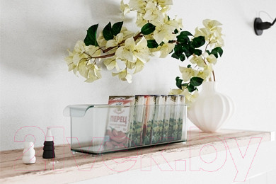 Изображение товара Контейнер для холодильника Berossi Mannaz ИК 69700000 (прозрачный)