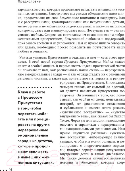 Изображение товара Книга Эксмо Процесс присутствия. Путешествие в настоящее (Браун М.)