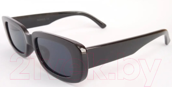 Изображение товара Очки солнцезащитные Noises 9074 (черный)