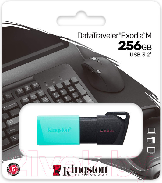 Изображение товара USB flash накопитель Kingston Data Traveler Exodia M 256GB (DTXM/256GB)