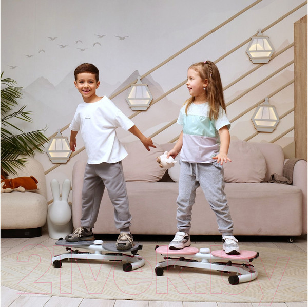 Изображение товара Минитренажер DFC TW-S108Gr