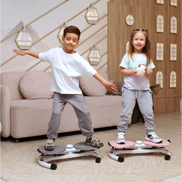 Изображение товара Минитренажер DFC TW-S108Gr