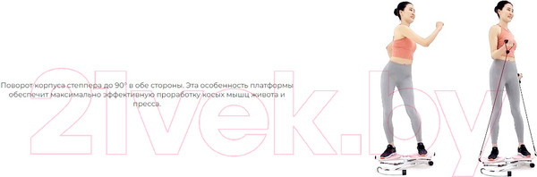 Изображение товара Минитренажер DFC TW-S108Gr