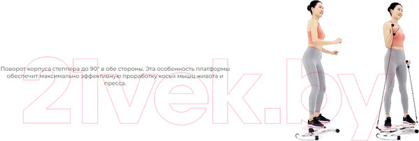 Изображение товара Минитренажер DFC TW-S108P