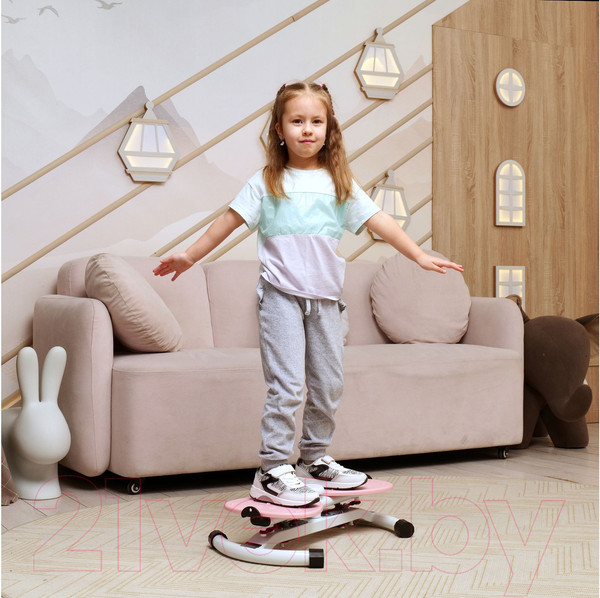 Изображение товара Минитренажер DFC TW-S108P