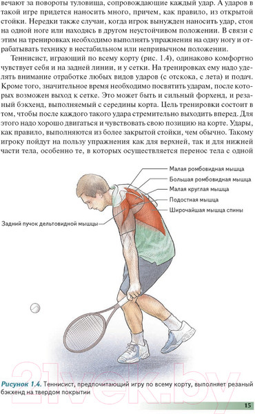 Изображение товара Книга Попурри Анатомия тенниса 2022г. (Роутерт П., Ковач М.)