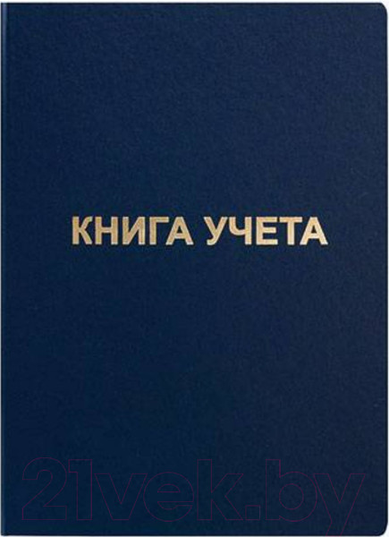 Изображение товара Книга учета inФормат KYA4-BV96K (96л)