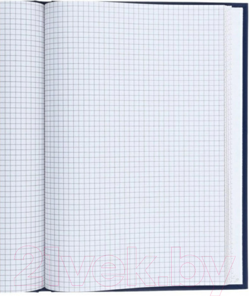 Изображение товара Книга учета inФормат KYA4-BV96K (96л)