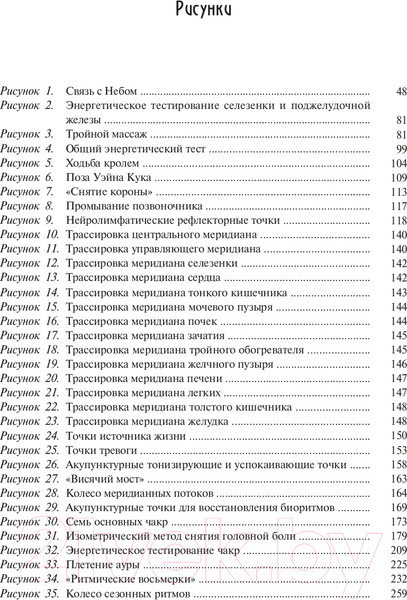 Изображение товара Книга Попурри Энергетическая медицина 2022г. (Иден Д.)