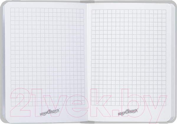 Изображение товара Записная книжка Юнландия Совушка / 113743