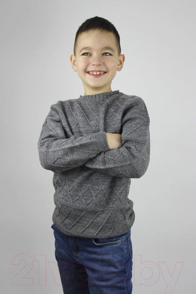 Изображение товара Джемпер детский Polesie 0С8650-Д43 (р.122-60, маренго)