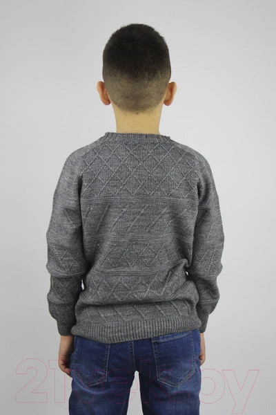 Изображение товара Джемпер детский Polesie 0С8650-Д43 (р.134,140-68, маренго)