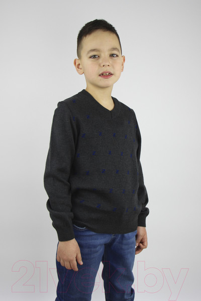 Изображение товара Джемпер детский Polesie 1С1107-Д43 (р.134,140-68, серый меланж)
