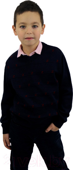 Изображение товара Джемпер детский Polesie 1С1107-Д43 (р.122,128-64, темно-синий)