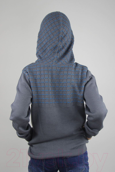 Изображение товара Худи детское Polesie 8С0354-Д43 (р.146-72, дипломат)