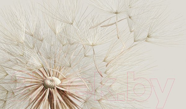 Изображение товара Фотообои листовые Vimala 3D Одуванчик макро (270x400)