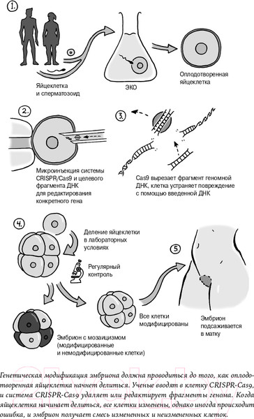 Изображение товара Книга Альпина Неестественный отбор. Генная инженерия (Корнфельт Т.)