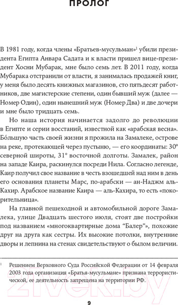 Изображение товара Книга Альпина Каирские хроники хозяйки книжного магазина (Вассеф Н.)