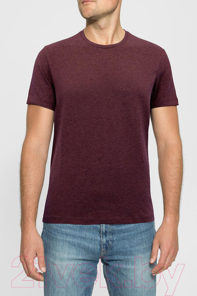 Изображение товара Футболка Alfa Man 6603 (р.170,176-96, бордо меланж)