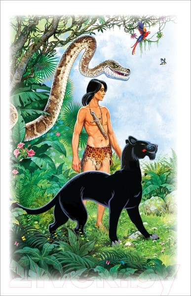 Изображение товара Книга Росмэн Маугли / 9785353101819 (Киплинг Р.)