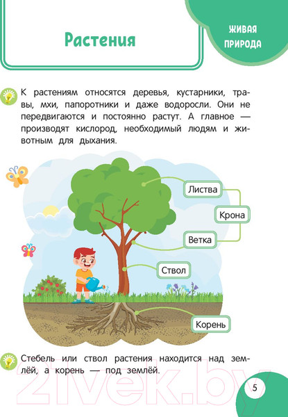 Изображение товара Энциклопедия Эксмо Моя первая книга открытий: для детей от 3 лет (Маланка Т.Г.)