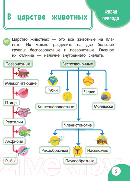 Изображение товара Энциклопедия Эксмо Моя первая книга открытий: для детей от 5 лет (Баранова Н.)
