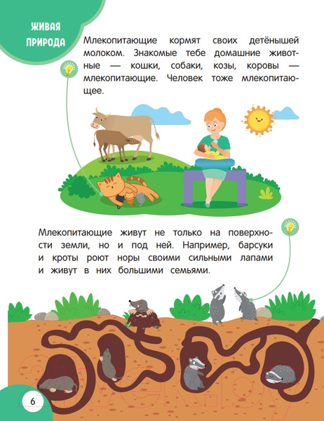 Изображение товара Энциклопедия Эксмо Моя первая книга открытий: для детей от 5 лет (Баранова Н.)