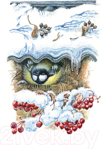 Изображение товара Книга Эксмо Синичкин календарь. Книжка в кармашке (Бианки В.)