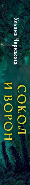 Изображение товара Книга Эксмо Золотые земли. Сокол и Ворон (Черкасова У.)