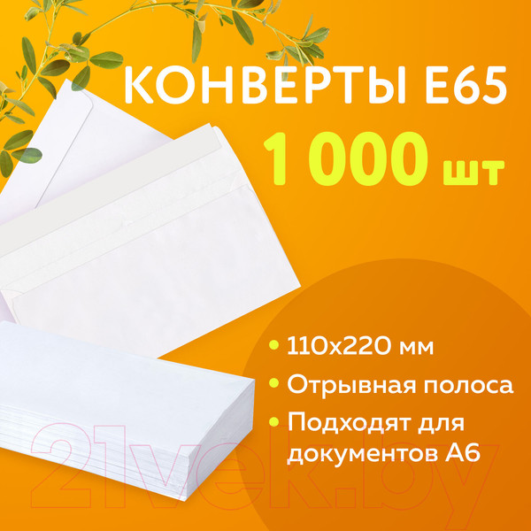 Изображение товара Набор конвертов почтовых Ряжская печатная фабрика Е65 / ш/к-70574 (1000шт)