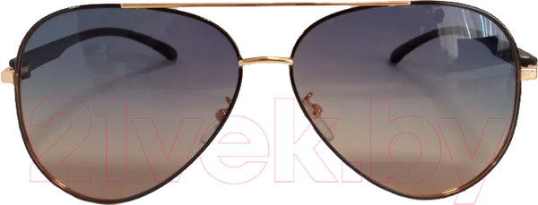 Изображение товара Очки солнцезащитные JBL Polarized 913 (золото/градиент)