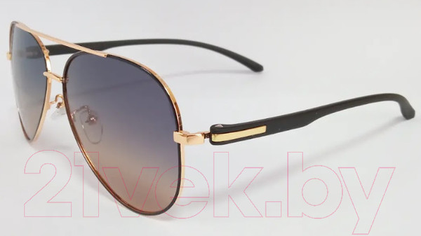 Изображение товара Очки солнцезащитные JBL Polarized 913 (золото/градиент)