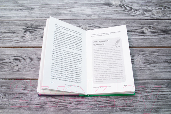 Изображение товара Книга АСТ Пробуждение богини. Путешествие к Силе (Голдберг Д.)