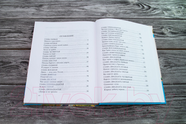 Изображение товара Книга АСТ Приключения Гекльберри Финна (Твен М.)