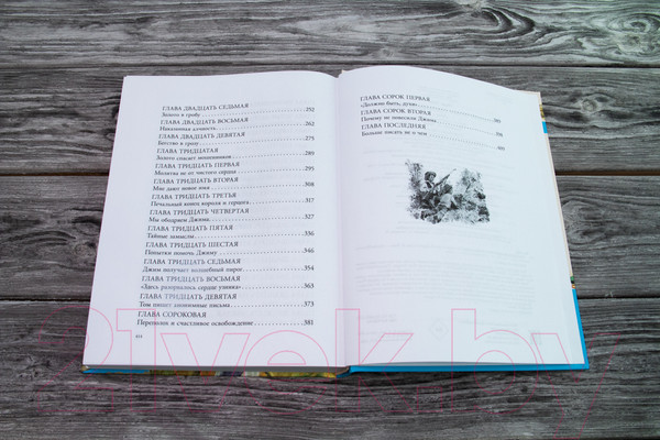 Изображение товара Книга АСТ Приключения Гекльберри Финна (Твен М.)