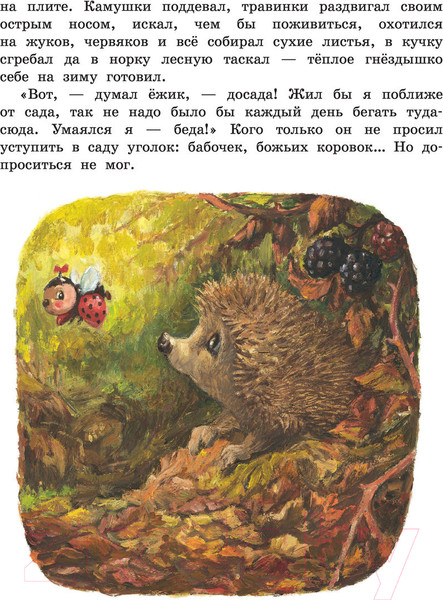 Изображение товара Книга АСТ Ежик Молчок, или История дружбы (Крингс А.)