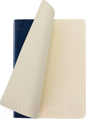 Изображение товара Тетрадь Brauberg Viva / 403906 (60л, клетка)