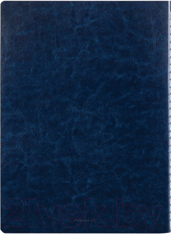 Изображение товара Тетрадь Brauberg Viva / 403906 (60л, клетка)