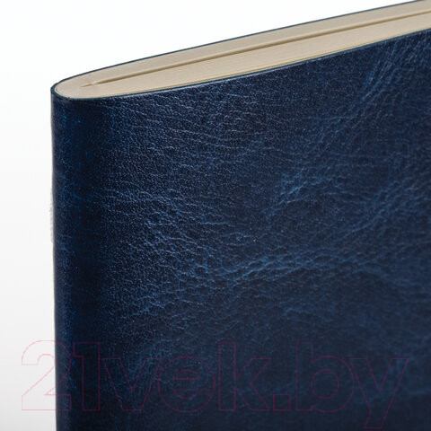 Изображение товара Тетрадь Brauberg Viva / 403906 (60л, клетка)