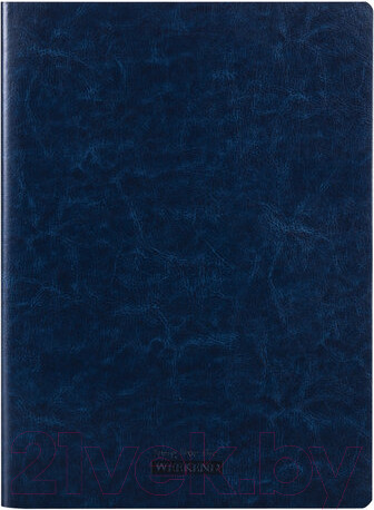 Изображение товара Тетрадь Brauberg Viva / 403906 (60л, клетка)