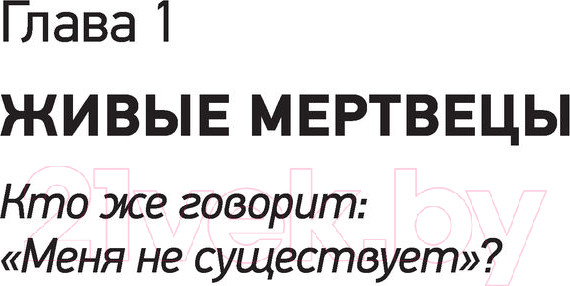 Изображение товара Книга АСТ Ум тронулся, господа! (Анантасвами А.)