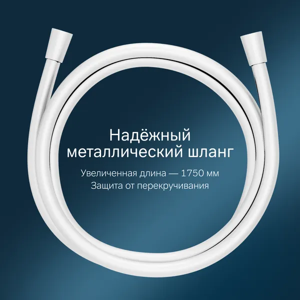 Изображение товара Душевой гарнитур AM.PM Gem F0190033