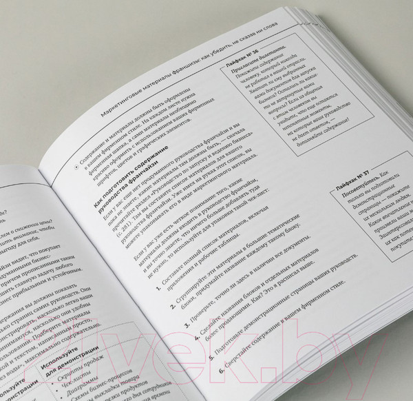 Изображение товара Книга Альпина Франшиза на 360° (Ляшевский В.)