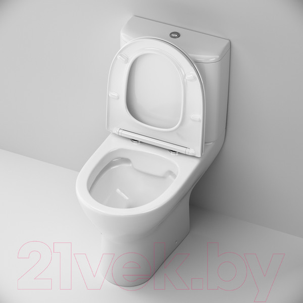 Изображение товара Унитаз напольный Damixa Luna DX46C8600SC