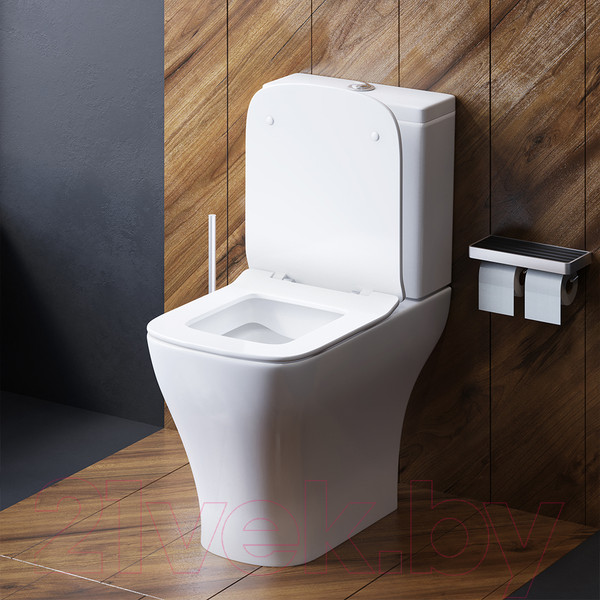 Изображение товара Унитаз напольный Damixa Titan DX78C8600SC