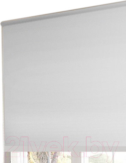Изображение товара Рулонная штора Эскар Blackout 43x170 / 390080431701 (белый)