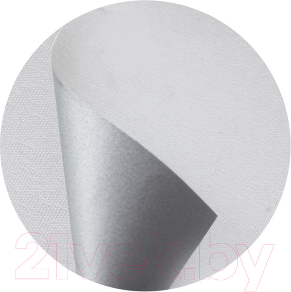 Изображение товара Рулонная штора Эскар Blackout 43x170 / 390080431701 (белый)